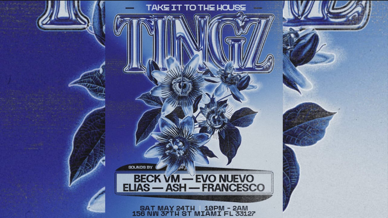 Tingz : Take It To The House Cover