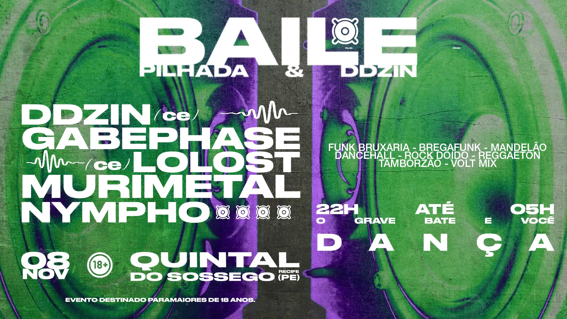 Baile Da Pilhada X Baile Do Ddzin Cover