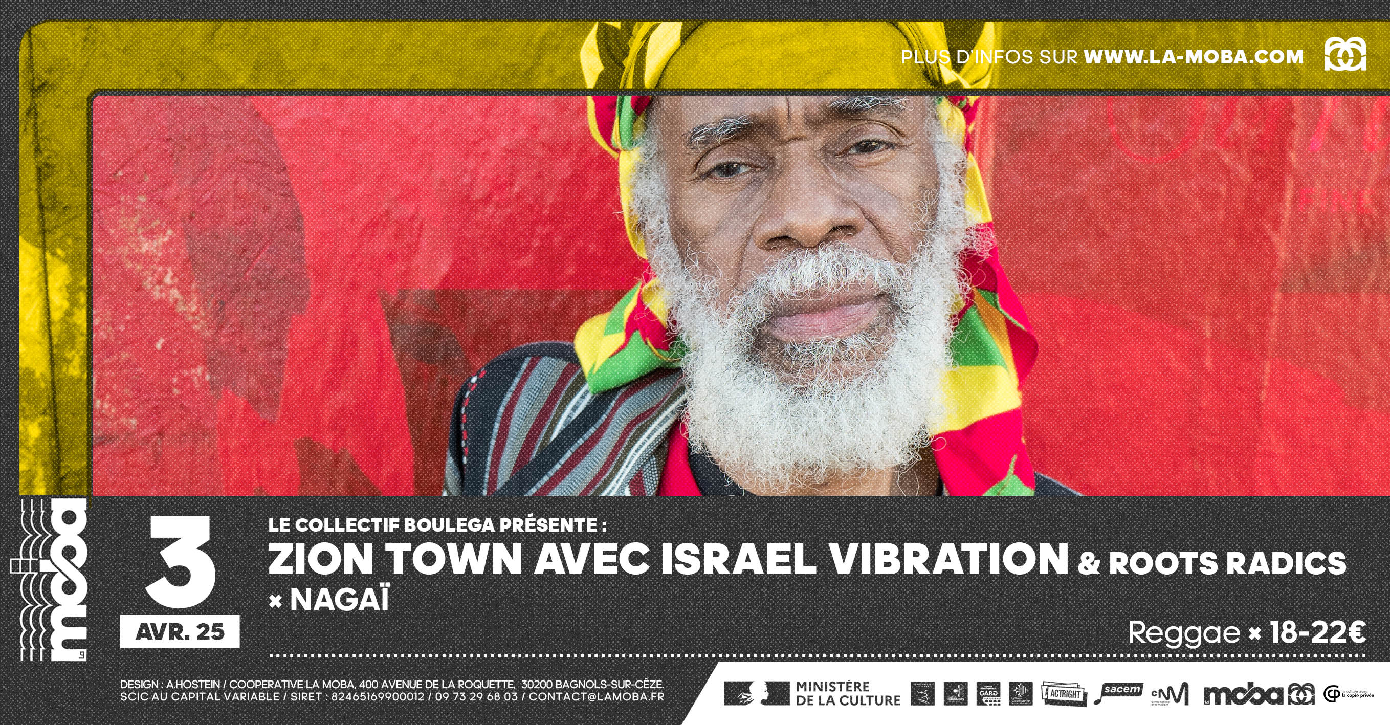 Zion Town Avec Israel Vibration & Roots Radics + Nagaï Cover