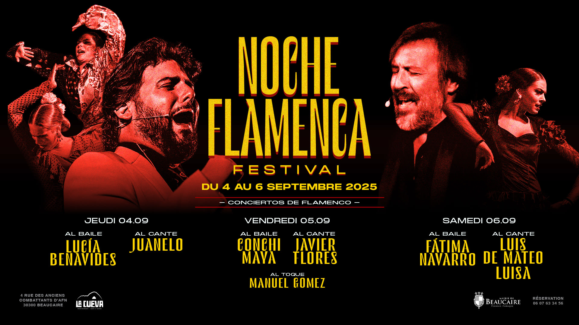 Noche Flamenca - Festival Cover