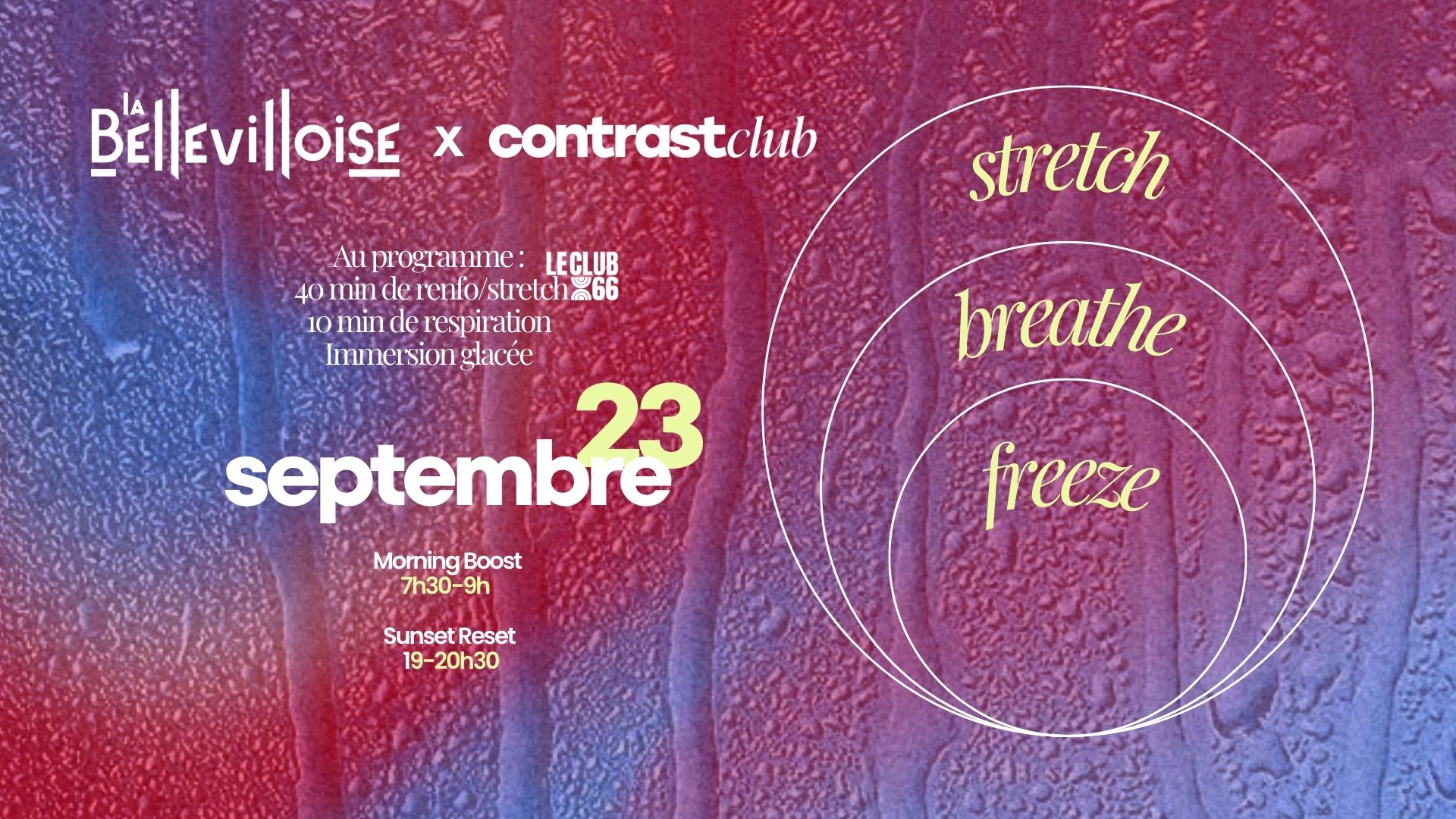 Stretch • Breathe • Freeze | 23.09.25 Cover