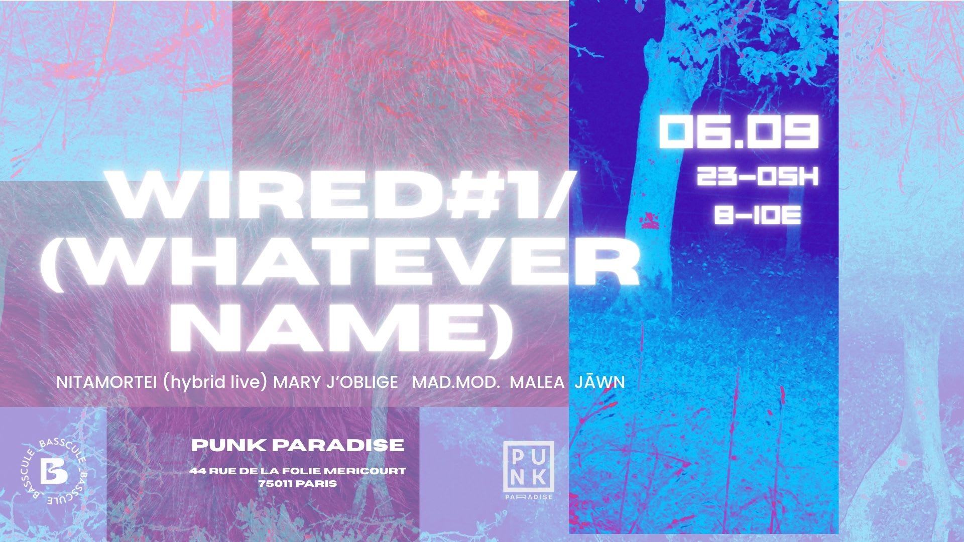 Wired #1 (Whatever Name) Cover