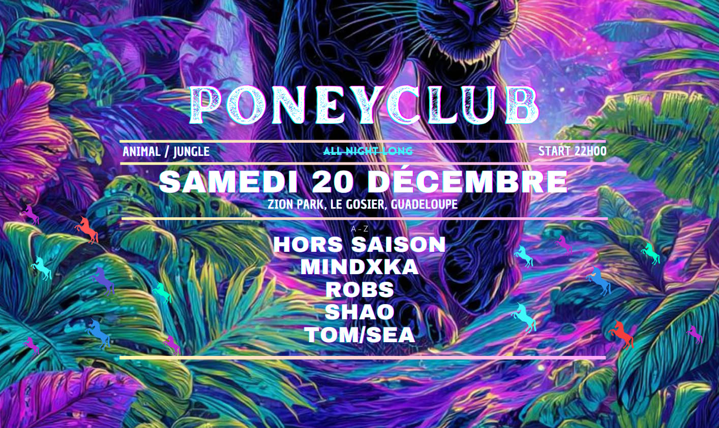 Poneyclub - The Jungle Experience @Zion Cover