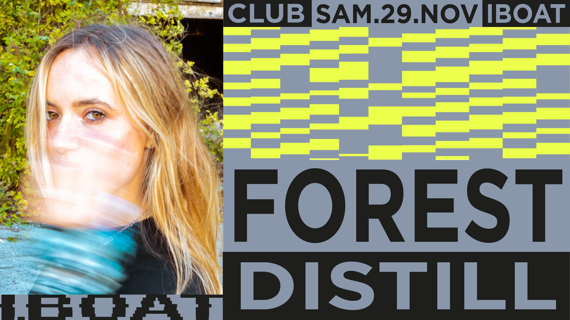 Forest + Distill Cover