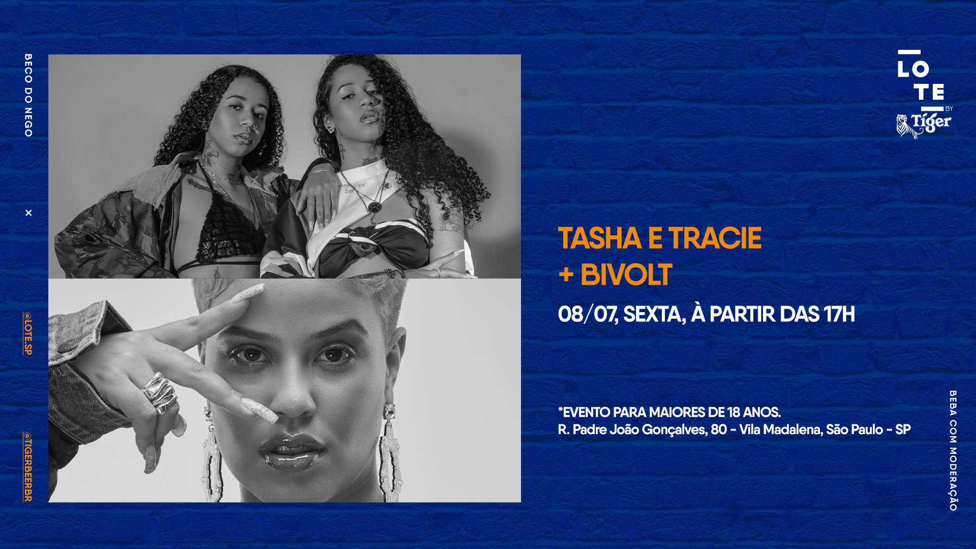 Lote By Tiger Com Tasha & Tracie + Bivolt Cover