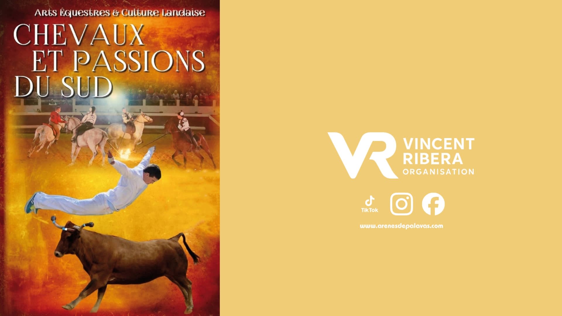 Chevaux Et Passion Du Sud Cover