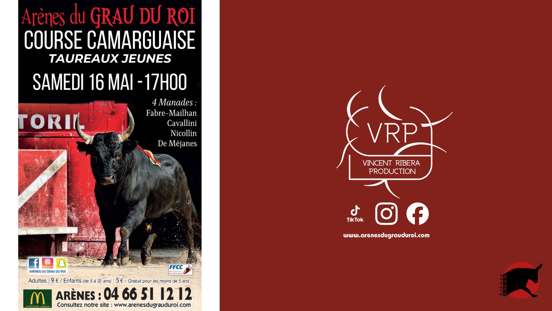 Course Camarguaise - Taureaux Jeunes Cover