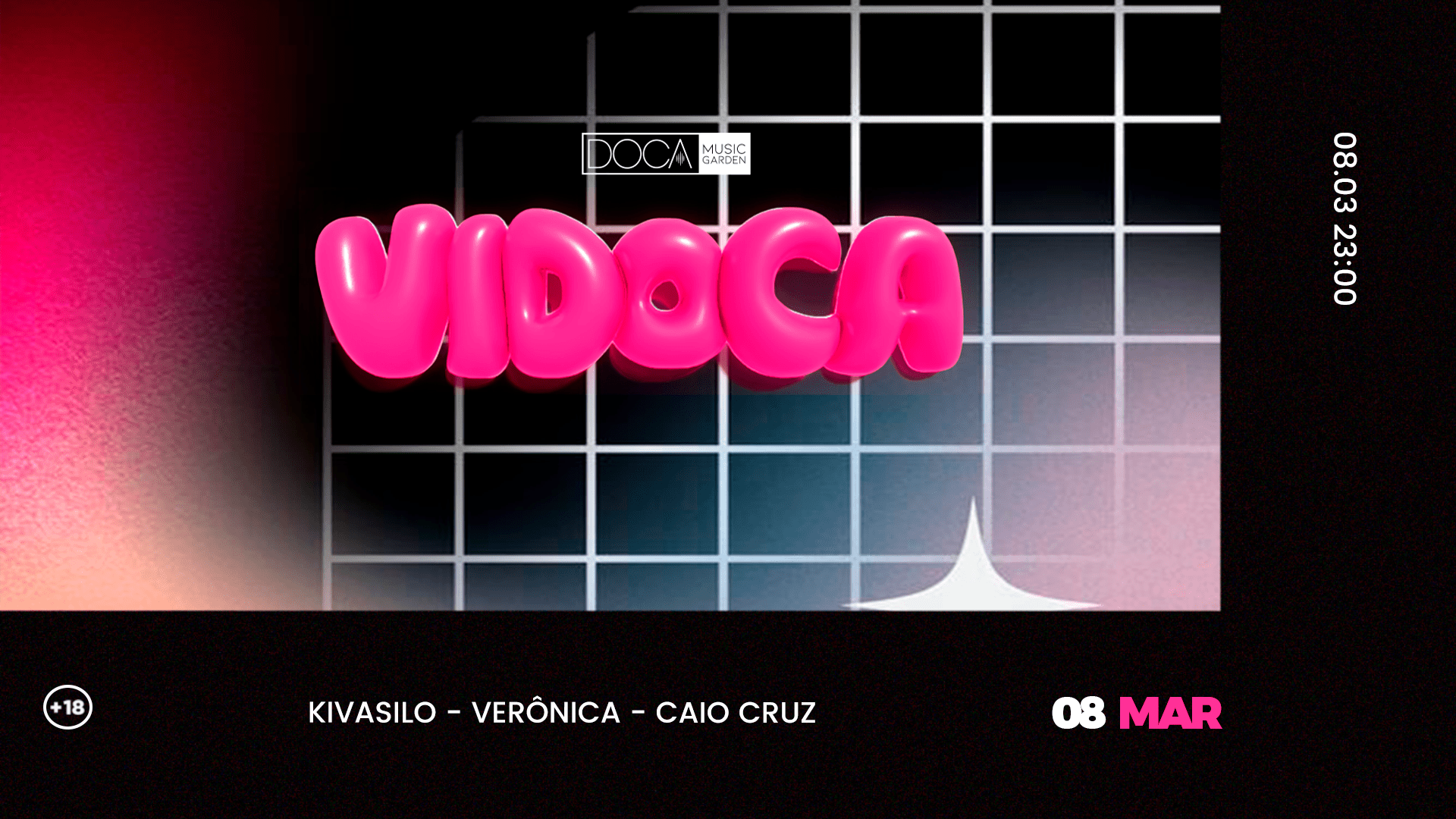 Vidoca Ed. 2 Cover