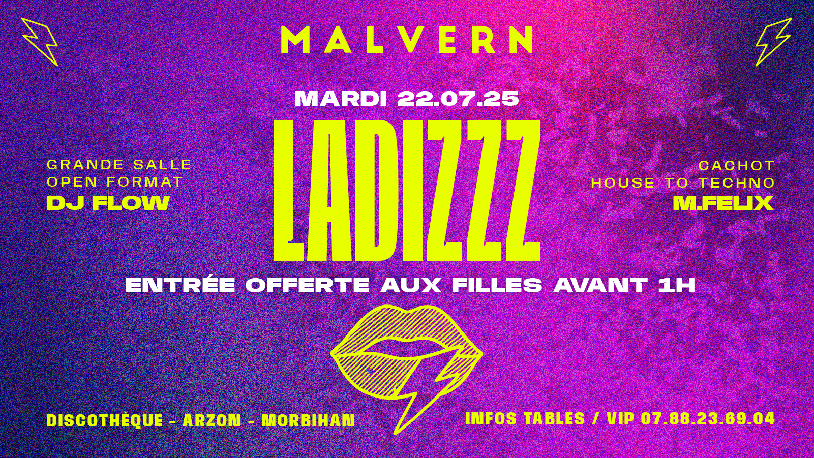 Ladizzz - Pass Gratuit Fille En Ligne Cover