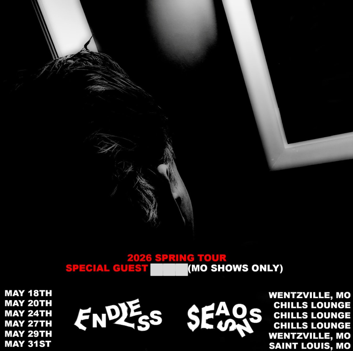 Endless Seasons In Saint Louis Cover