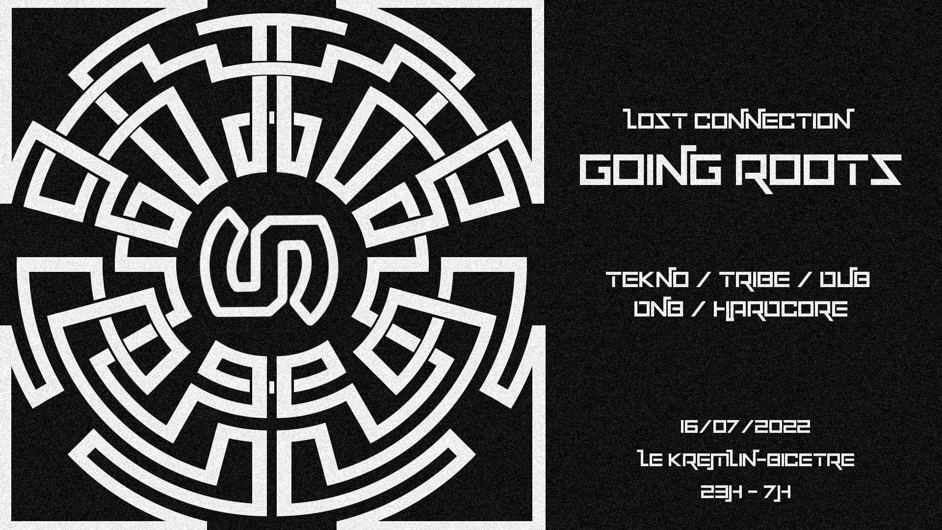 Lost Connection: Going Roots Cover