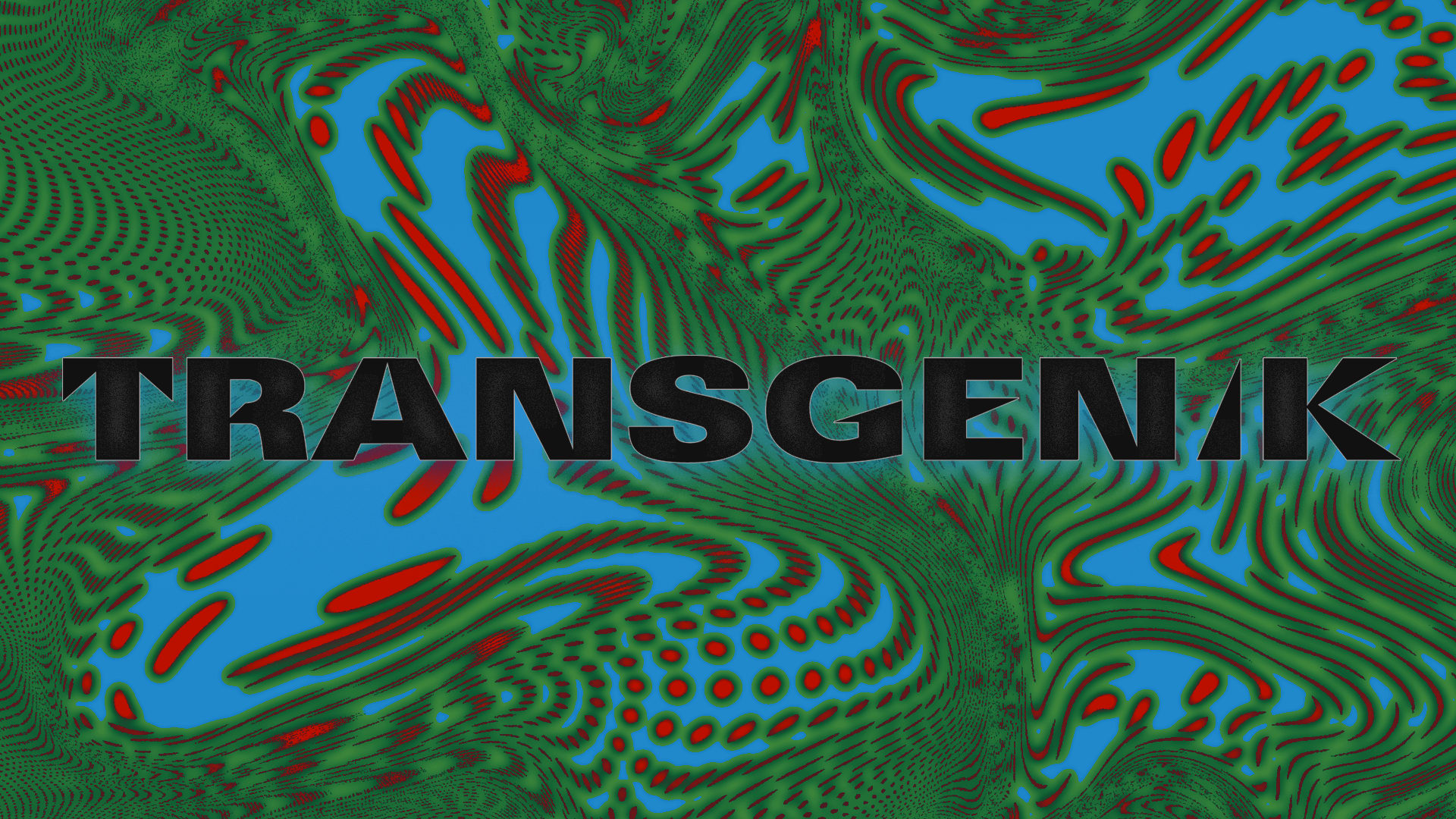 Transgenik X Bae Party Cover
