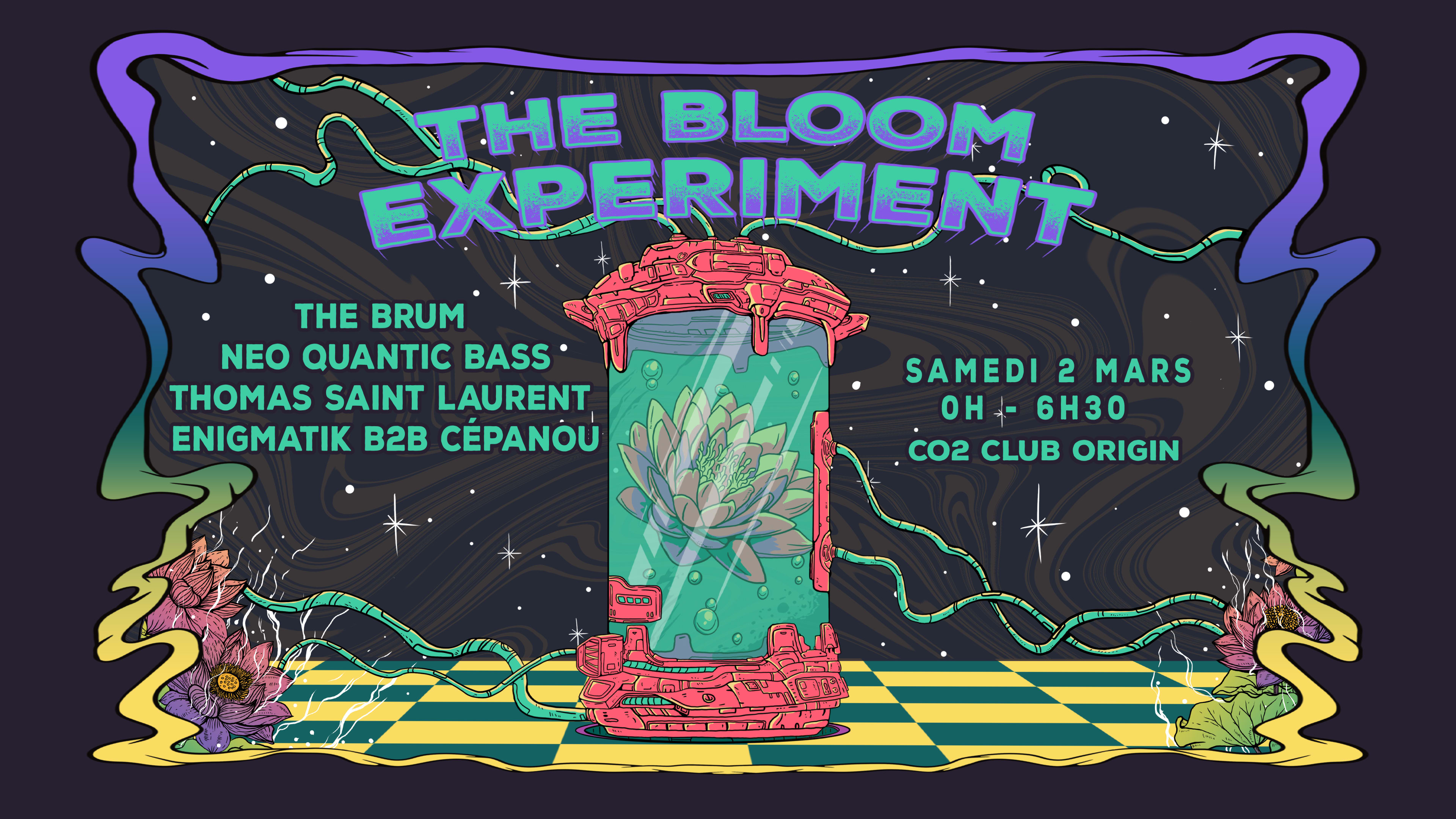 The Bloom Experiment Cover