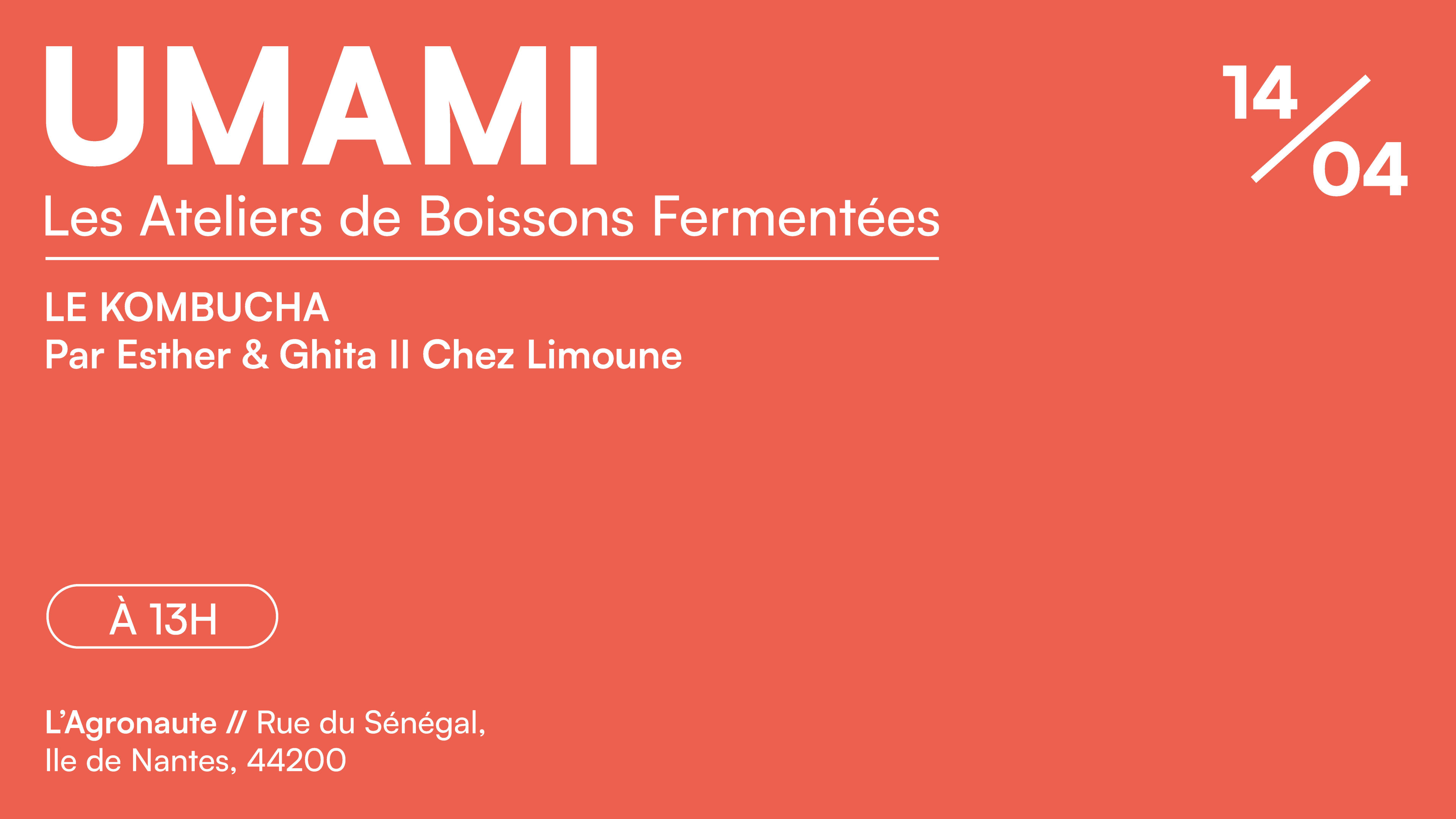 Umami #3 // Atelier De Boisson Fermentée : Le Kombucha Cover