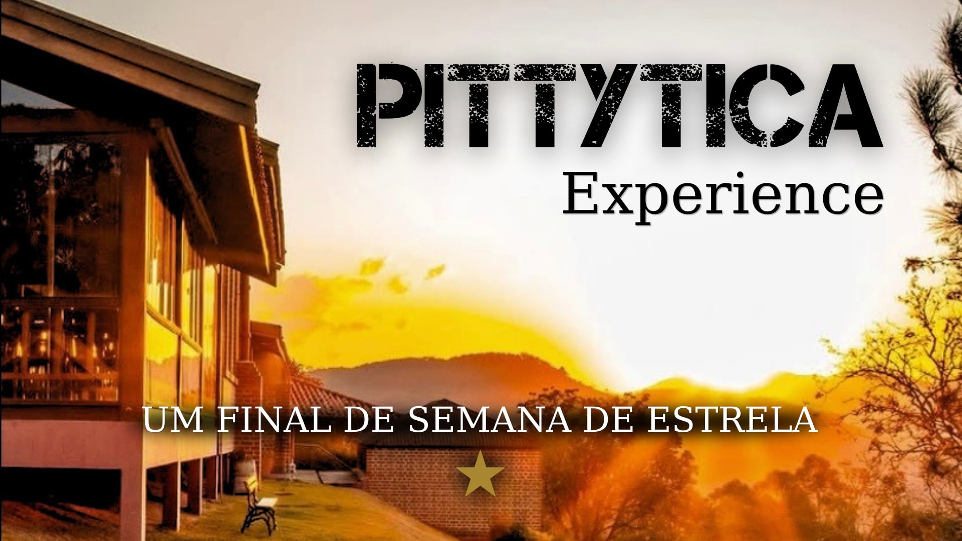 Pittytica Experience Cover