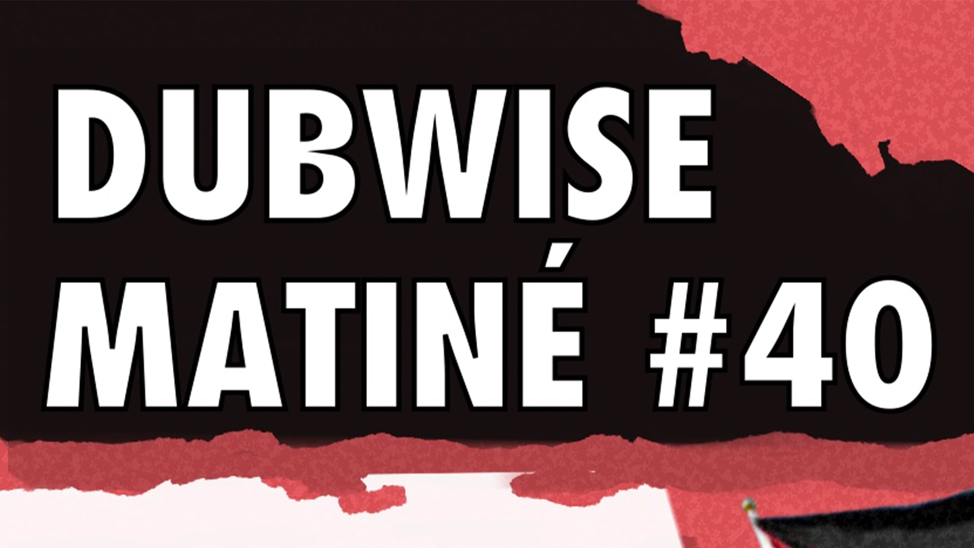Dubwise Matiné #40 - Palestine Fundraiser Cover