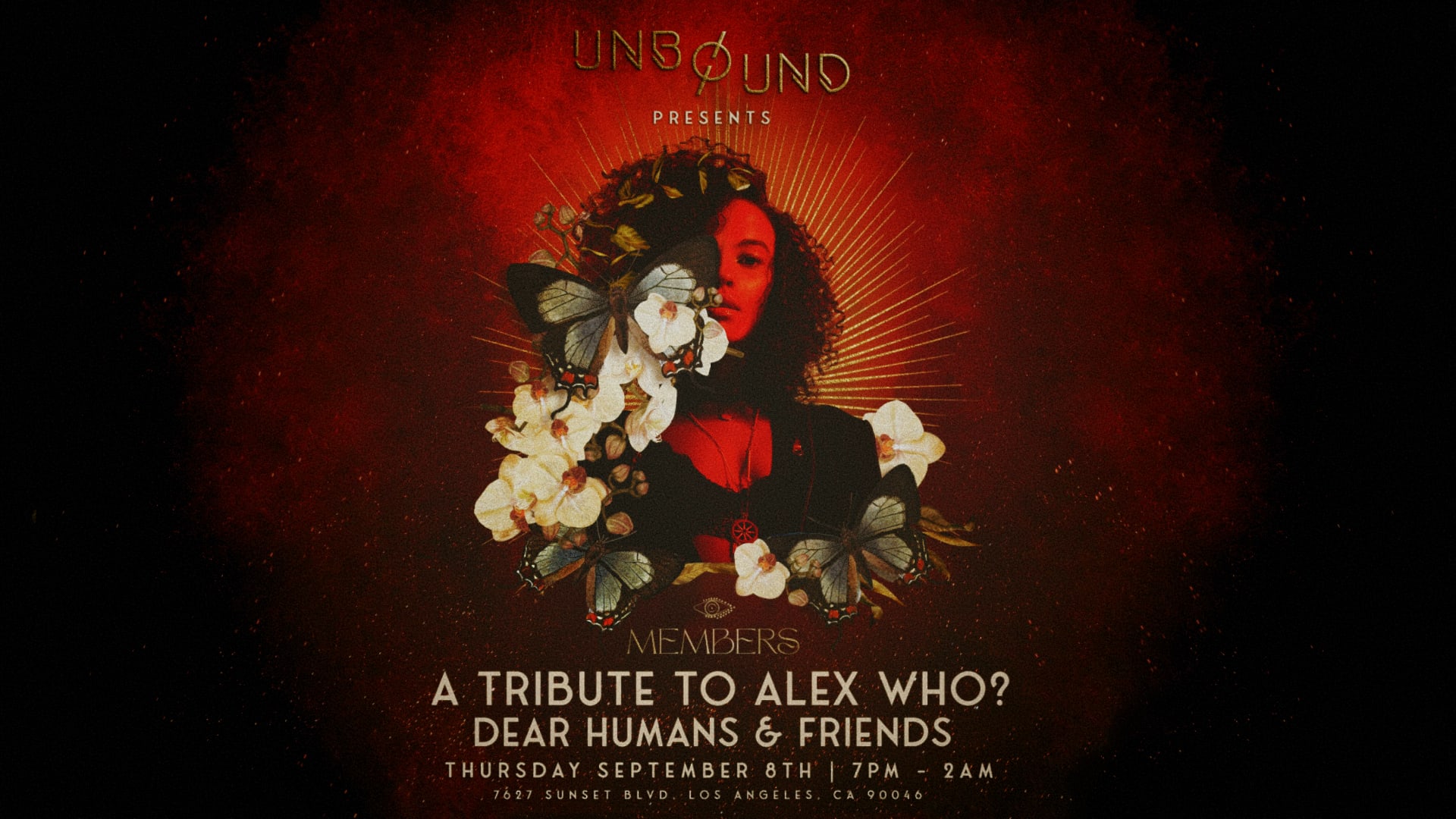 Tribute To Alex Who? X Dear Humans & Friends  Cover