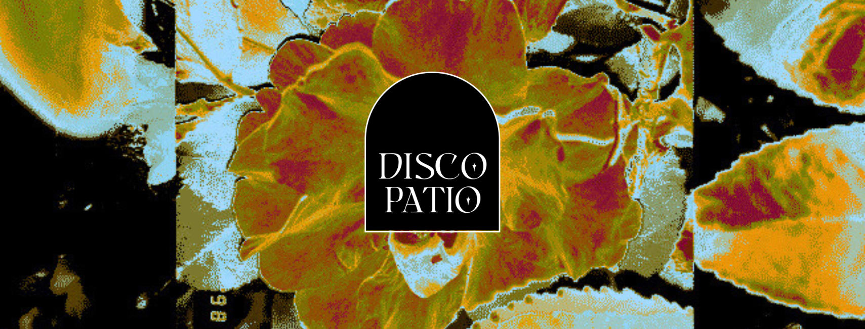 Disco Patio XI "Close-Knit Session" Cover