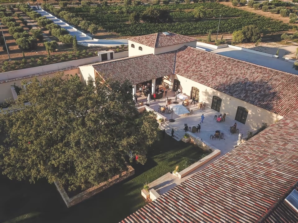 Les Musicales Dans Les Vignes - Passion Du Sud Cover