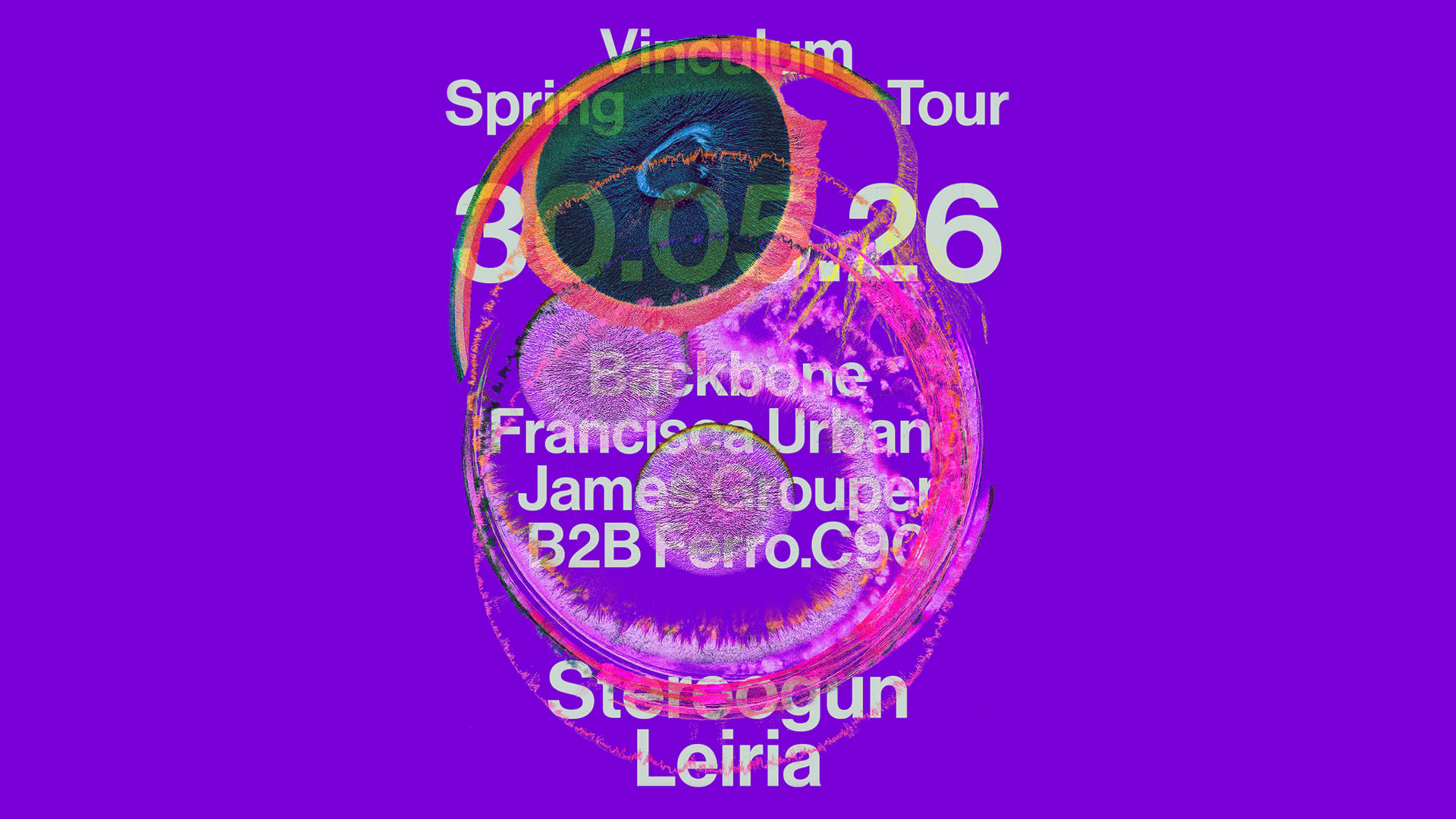 Vinculum Spring Tour • Stereogun, Leiria Cover