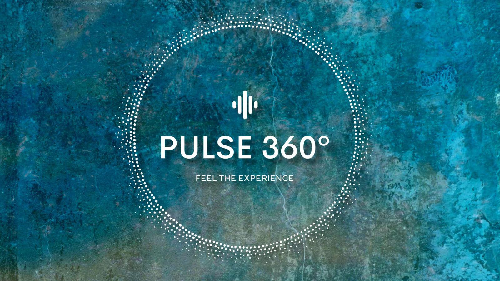 Pulse 360 By Mamoro Cover
