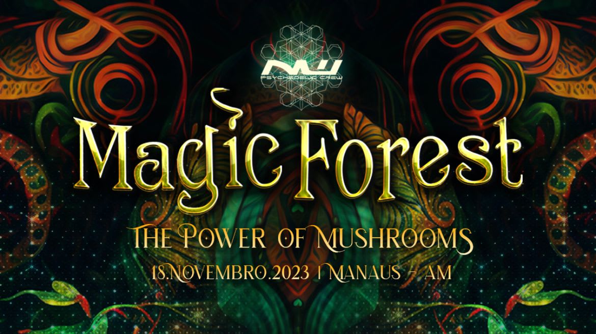 Magic Forest 2023 Cover