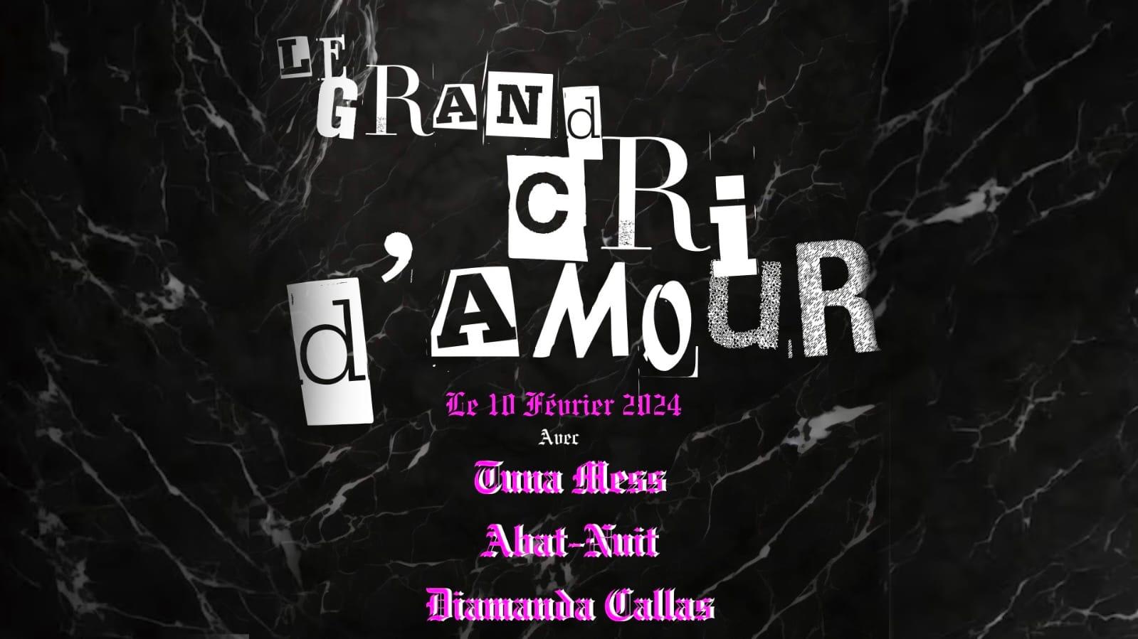 Le Grand Cri D'amour Cover