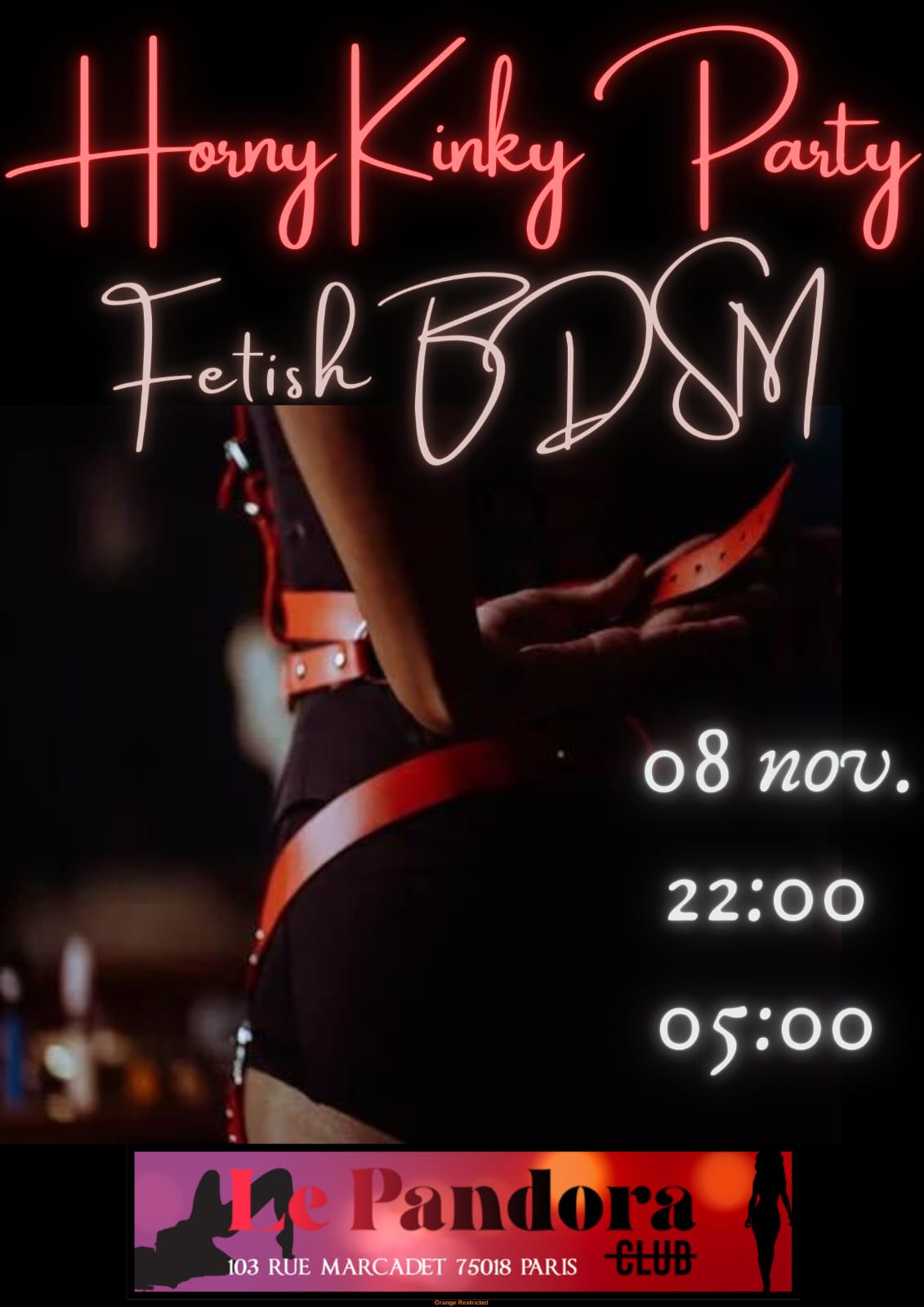 Horny Kinky Party #3 Cover