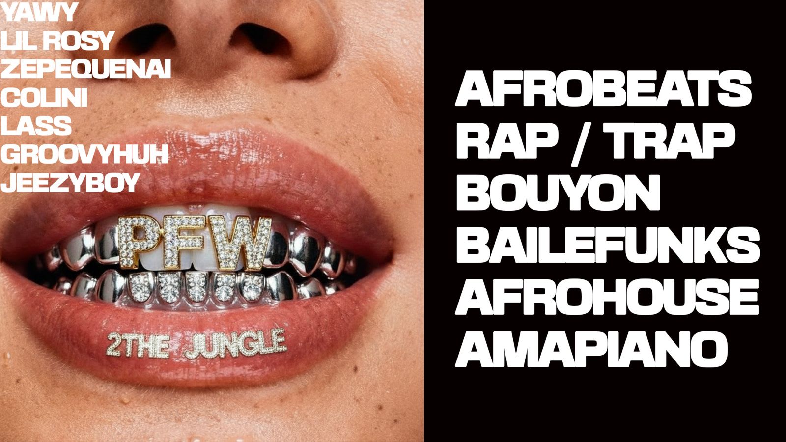 2 The Jungle Pfw Edition Cover