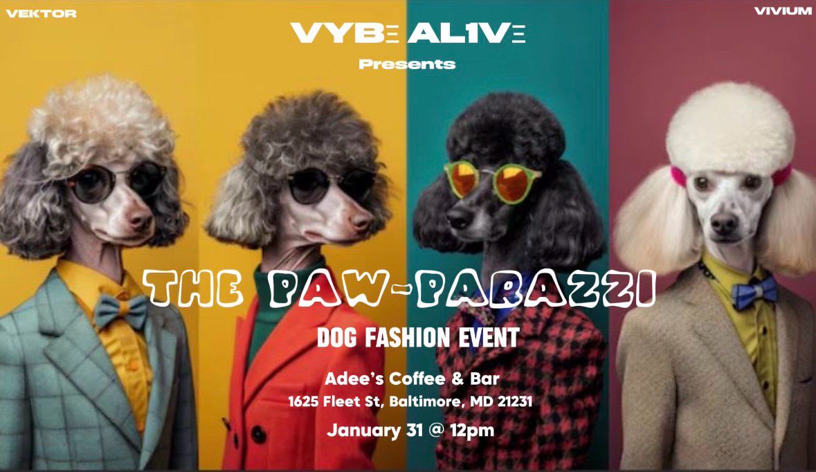 Paw-Parazzi-A Dog Fashion & Community Experience Cover