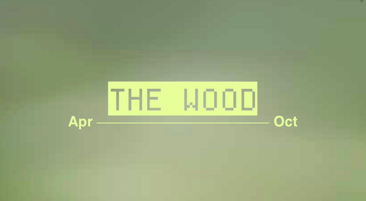 The Wood By La Aso Cover