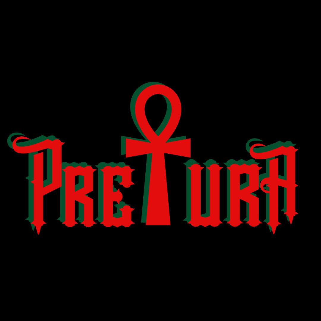 Baile Black Pretura - Tem Negros No Sul E Eu Falava Sério Cover