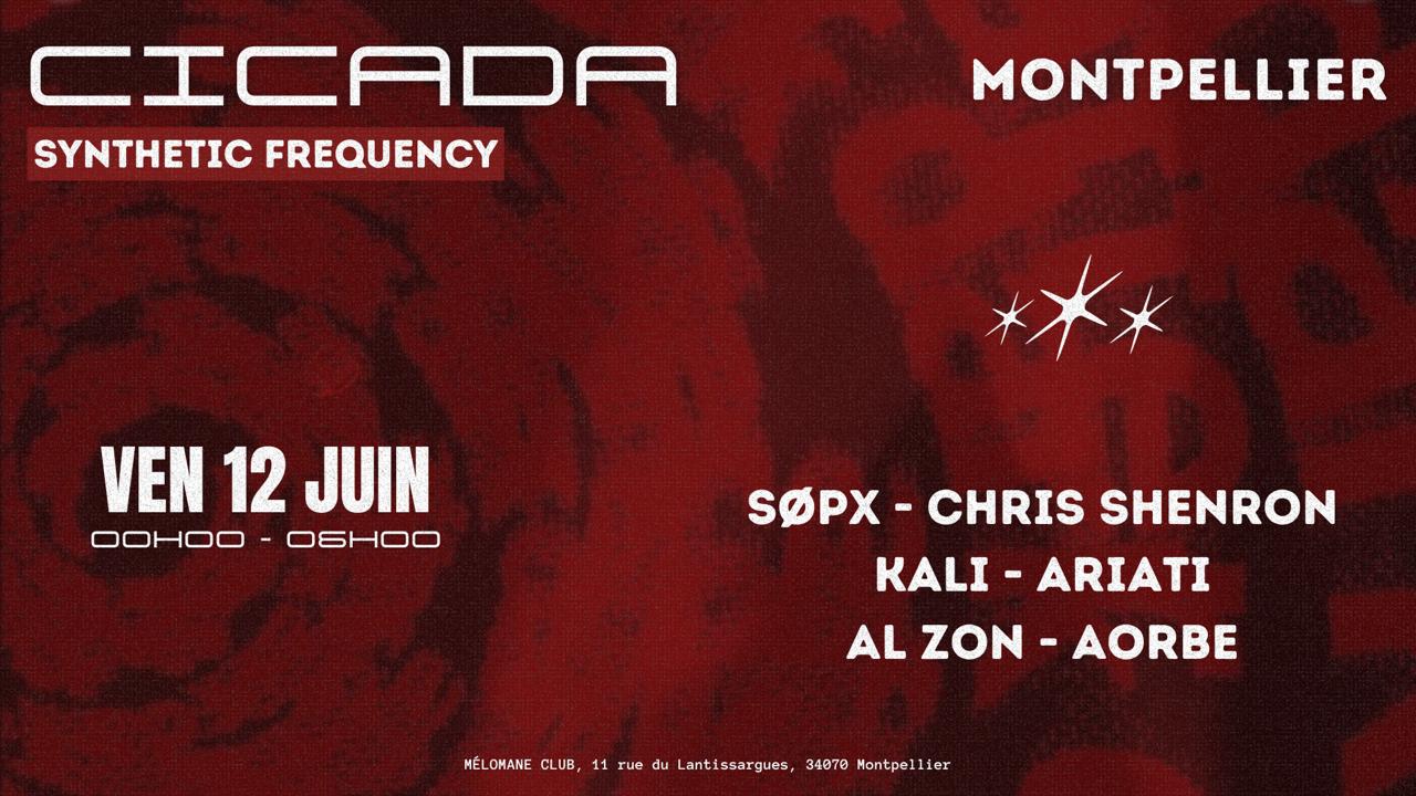 Cicada Synthetic Frequency Cover