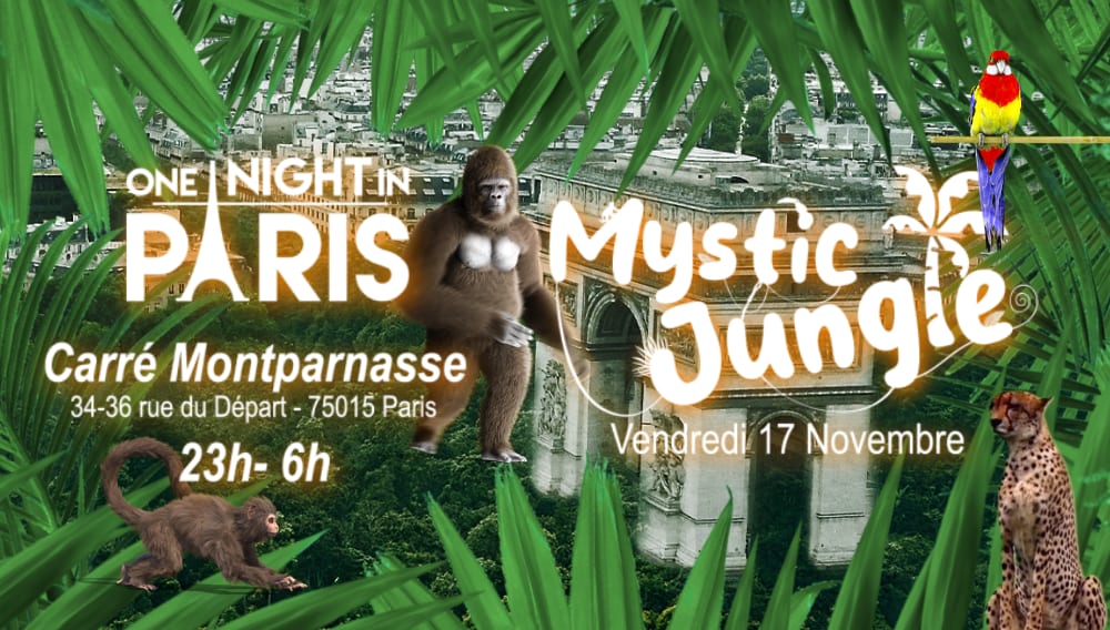 One Night In Paris - Mystic Jungle Cover