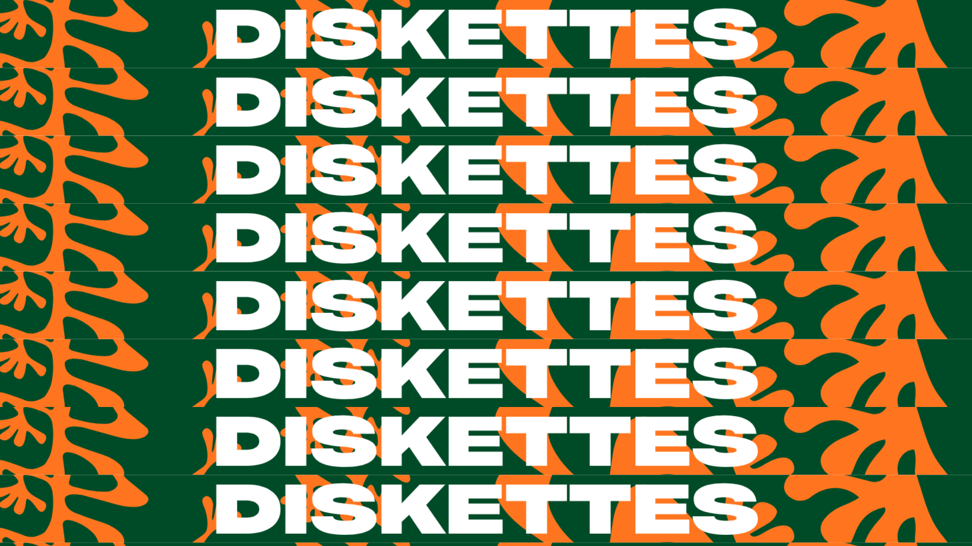 Les Diskettes - Edition 5 Cover