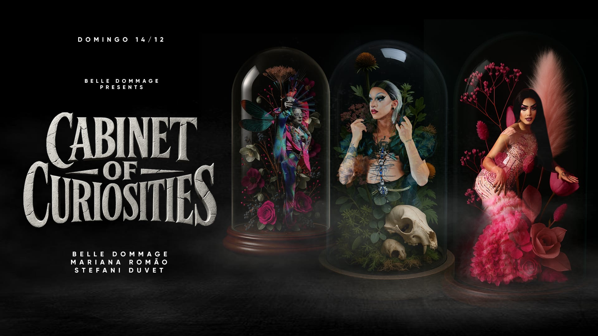 Belle Dommage's Cabinet Of Curiosities #14 Cover