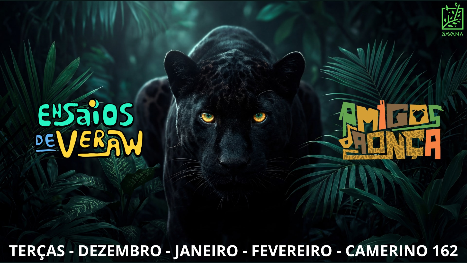 Ensaios De Verão Na Casa Savana #4 Cover