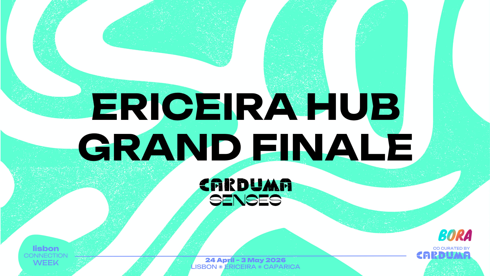 Carduma - Ericeira Hub Grand Finale Cover