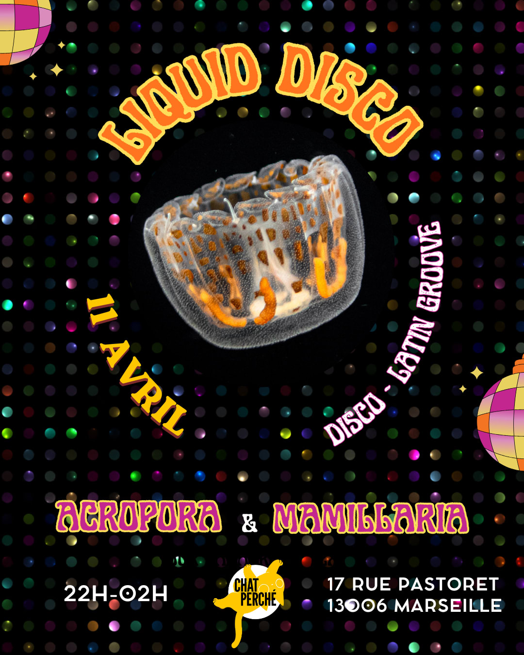 Liquid Disco Party Cover