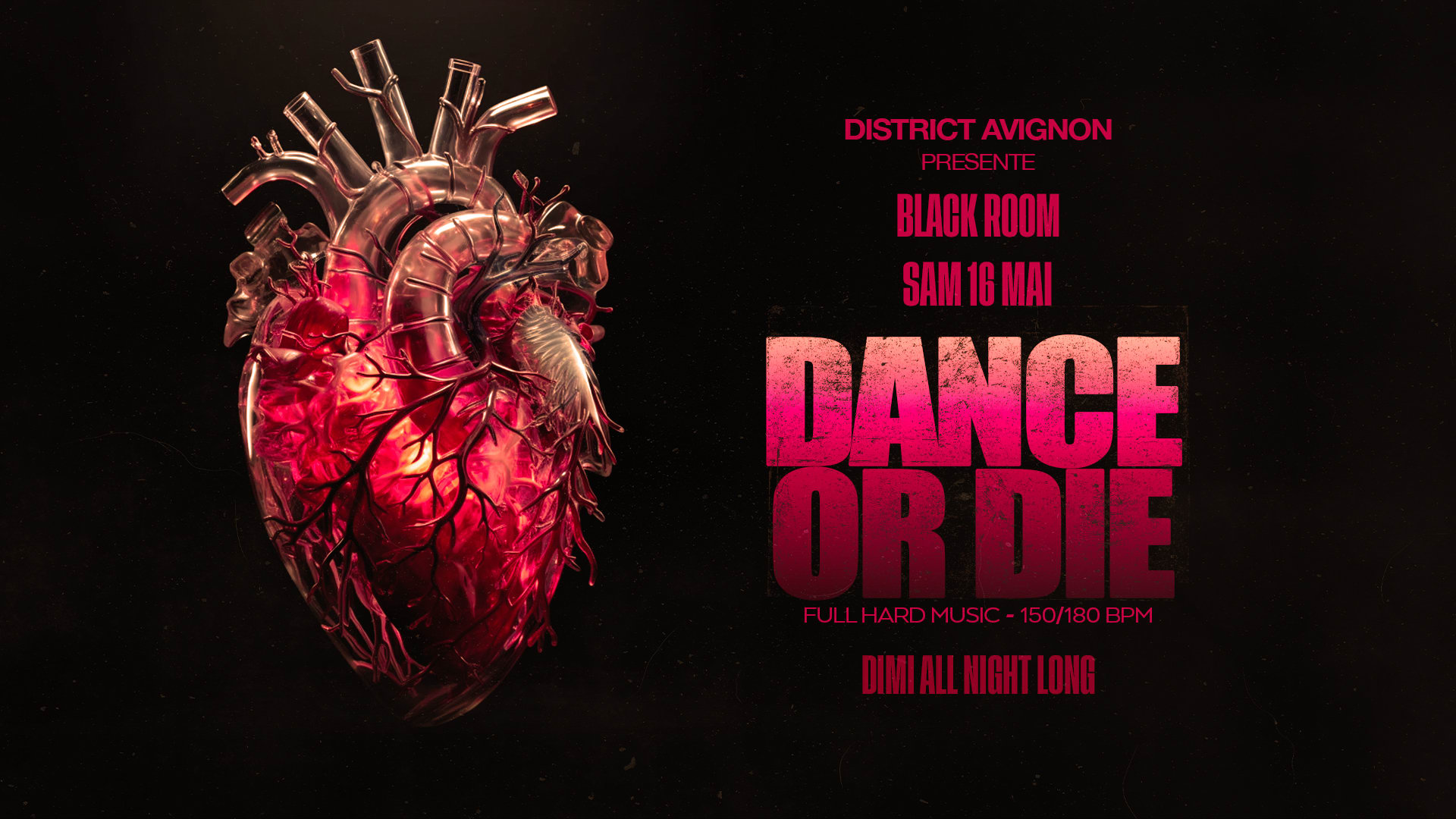 Dance Or Die : Dimi All Night Long / Full Hard Music Cover