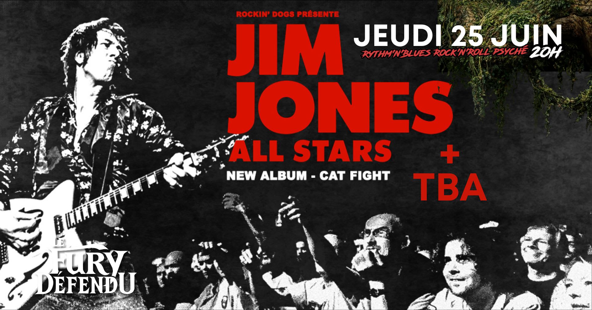 Jim Jones All Stars // Le Fury Défendu Cover
