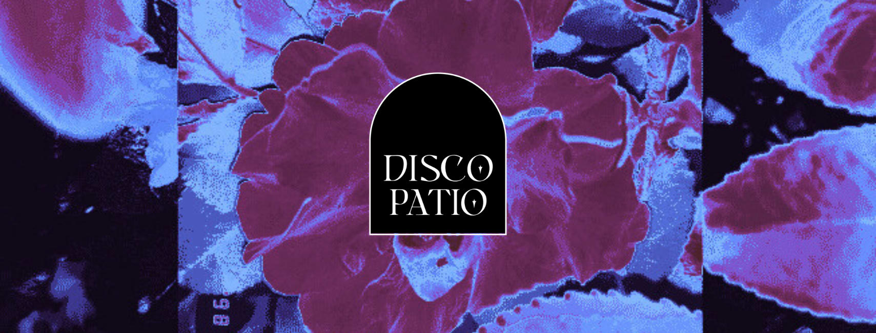 Disco Patio XIV - Meets Arm Aber Sexy "Close-Knit Session" Cover
