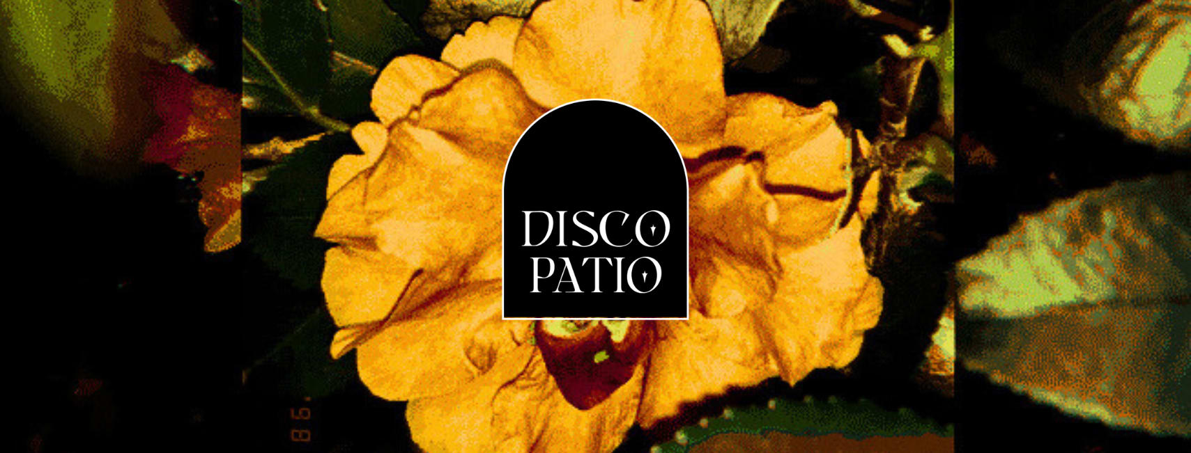 Disco Patio XV "Close-Knit Session" Cover