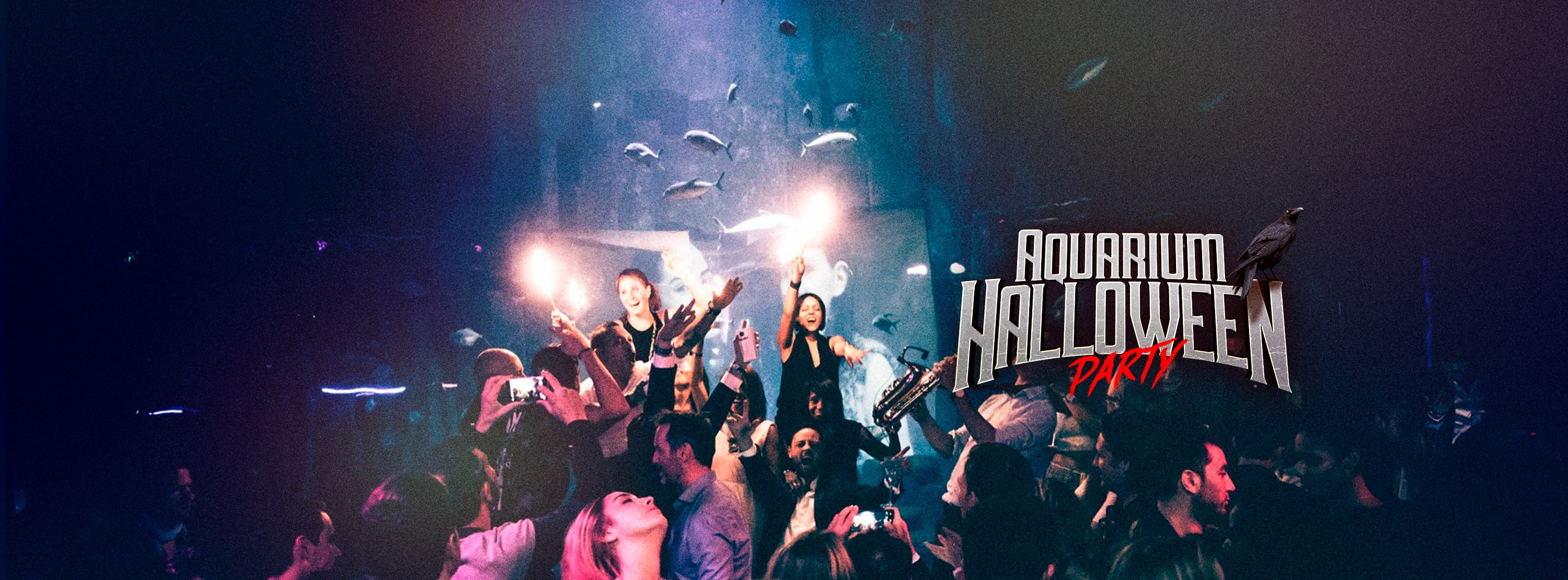 Aquarium Halloween Party : Mardi 31 Oct Cover