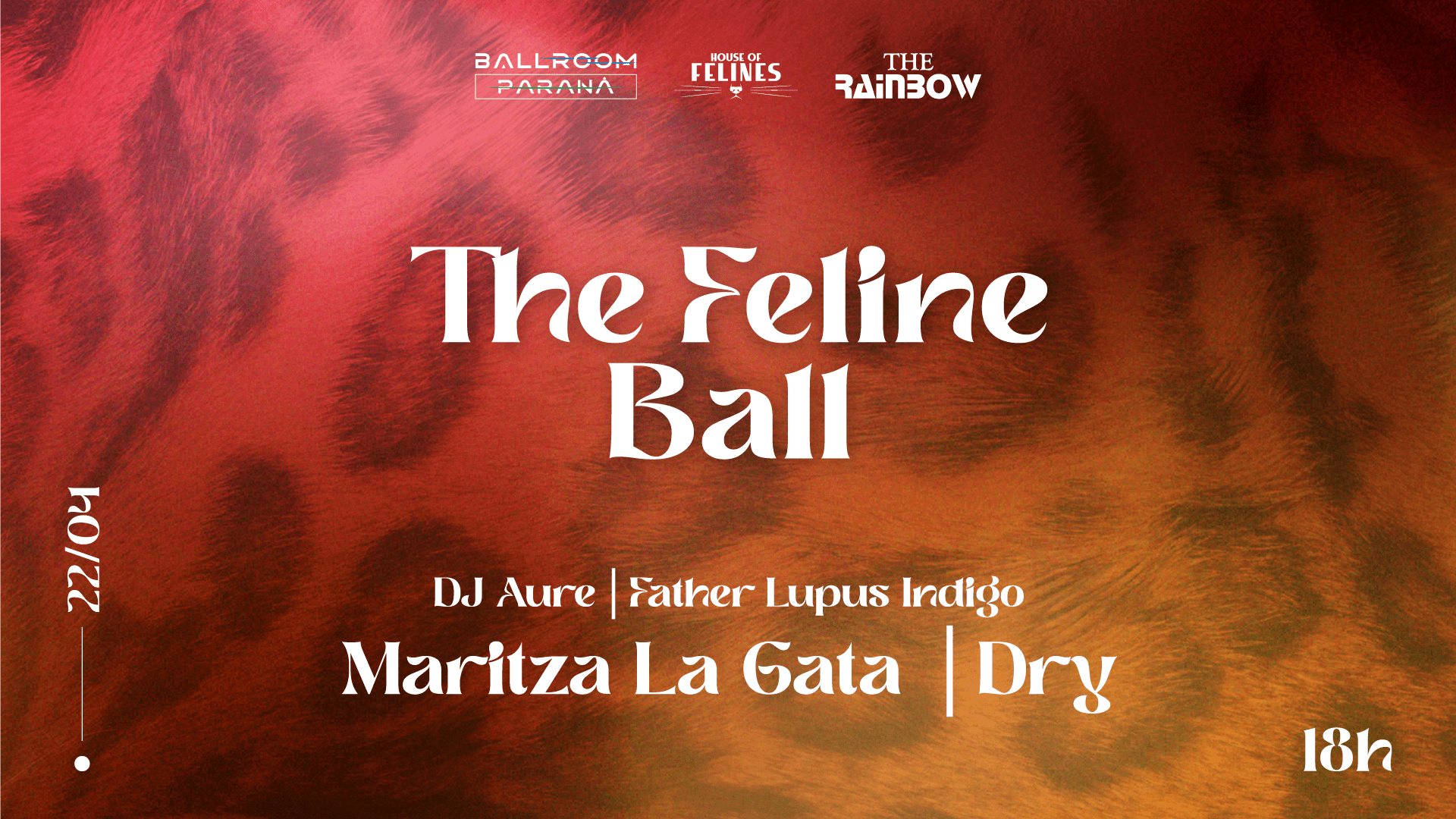 The Feline Ball Cover