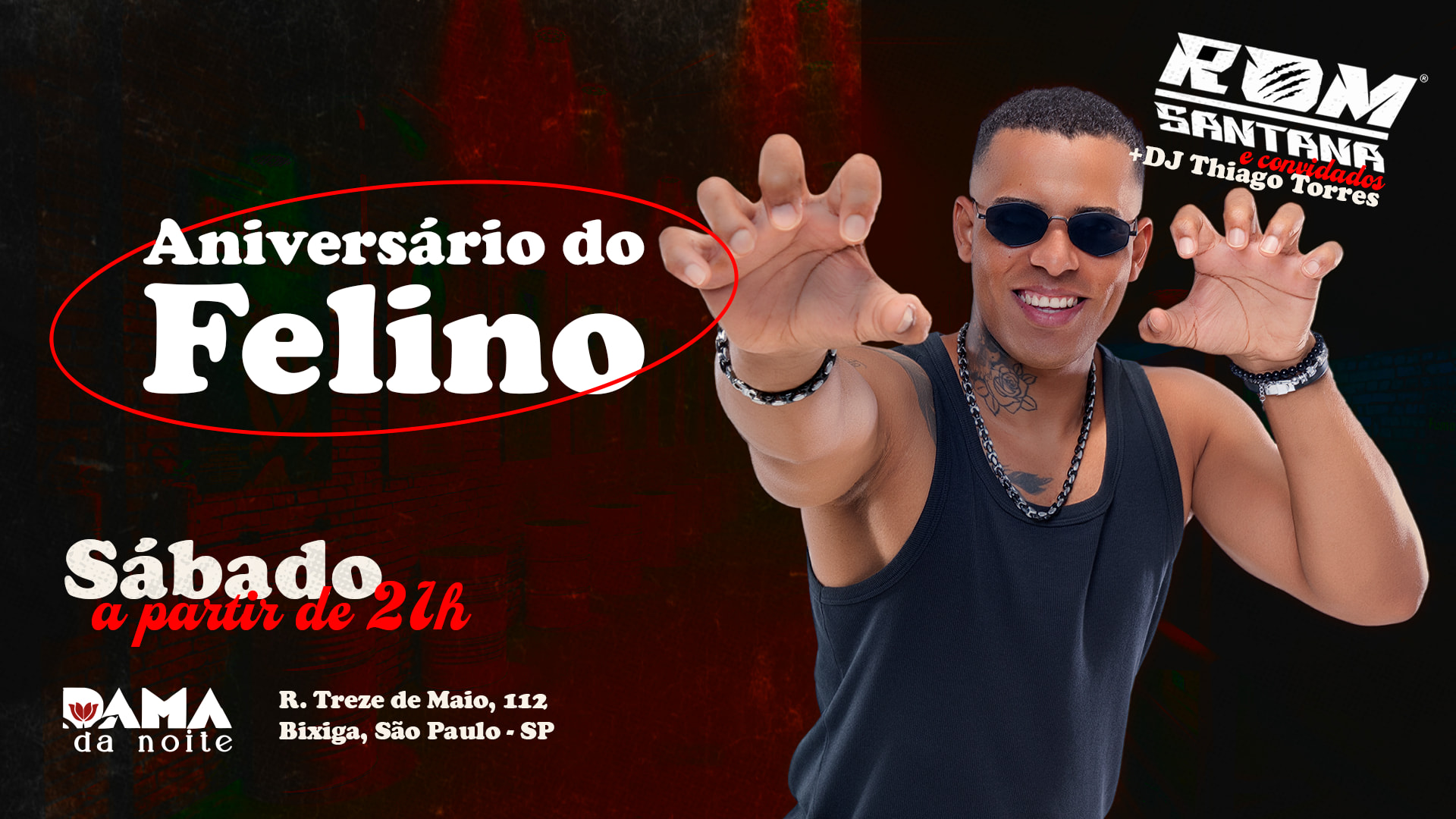 Aniversário Do Felino Cover