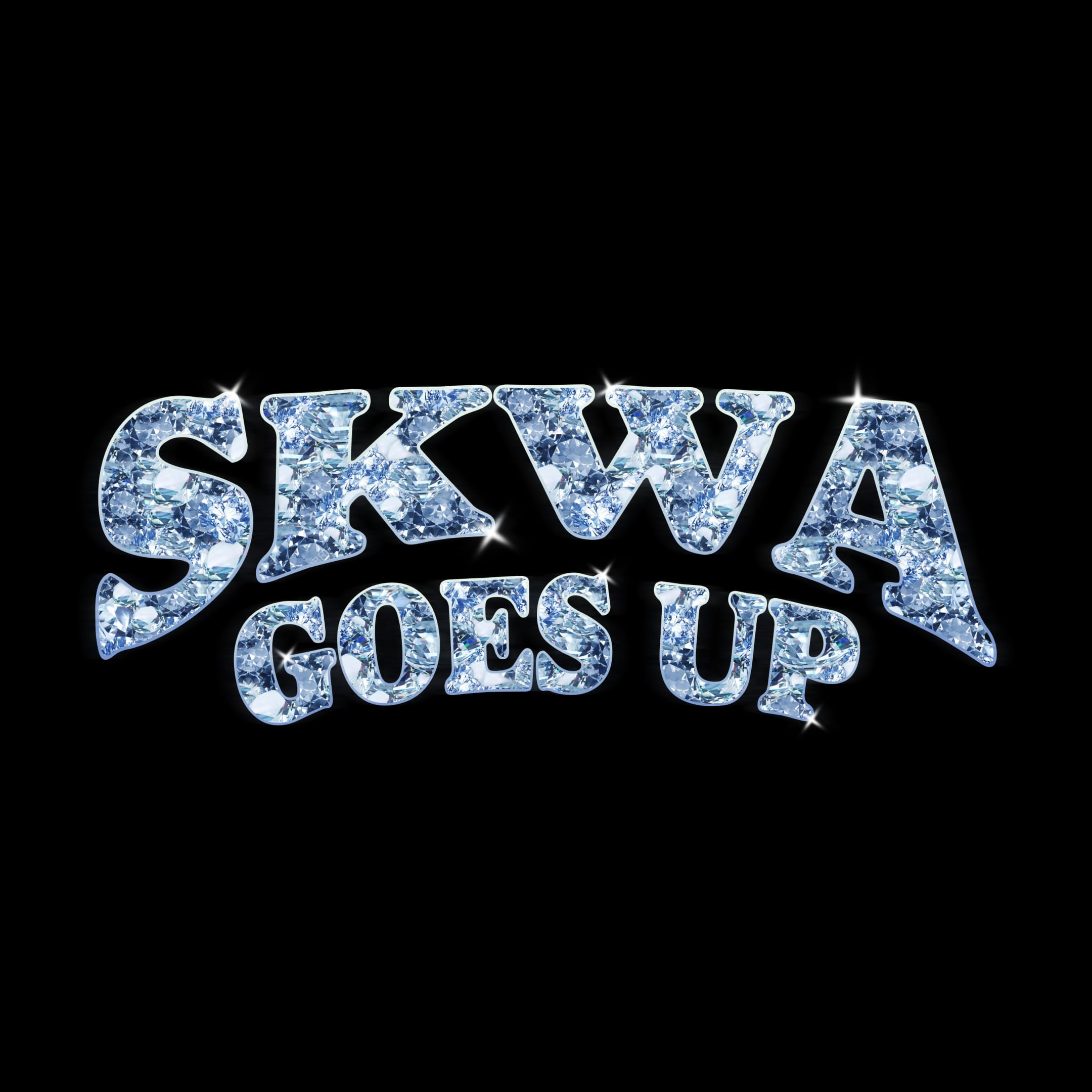 Skwa Goes Up Party !  Cover