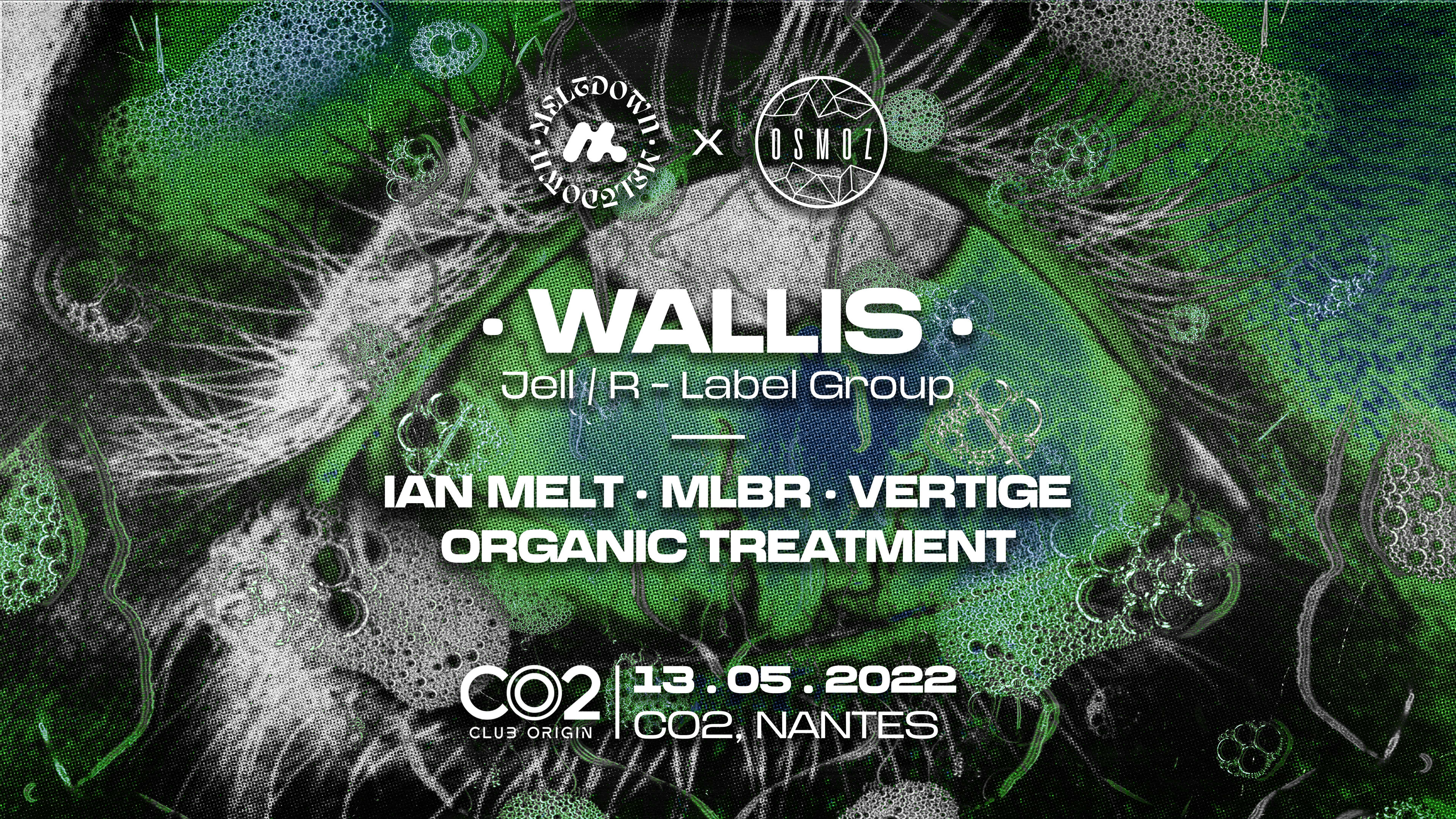 Meltdown X Osmoz W/ Wallis - Co2 Nantes Cover