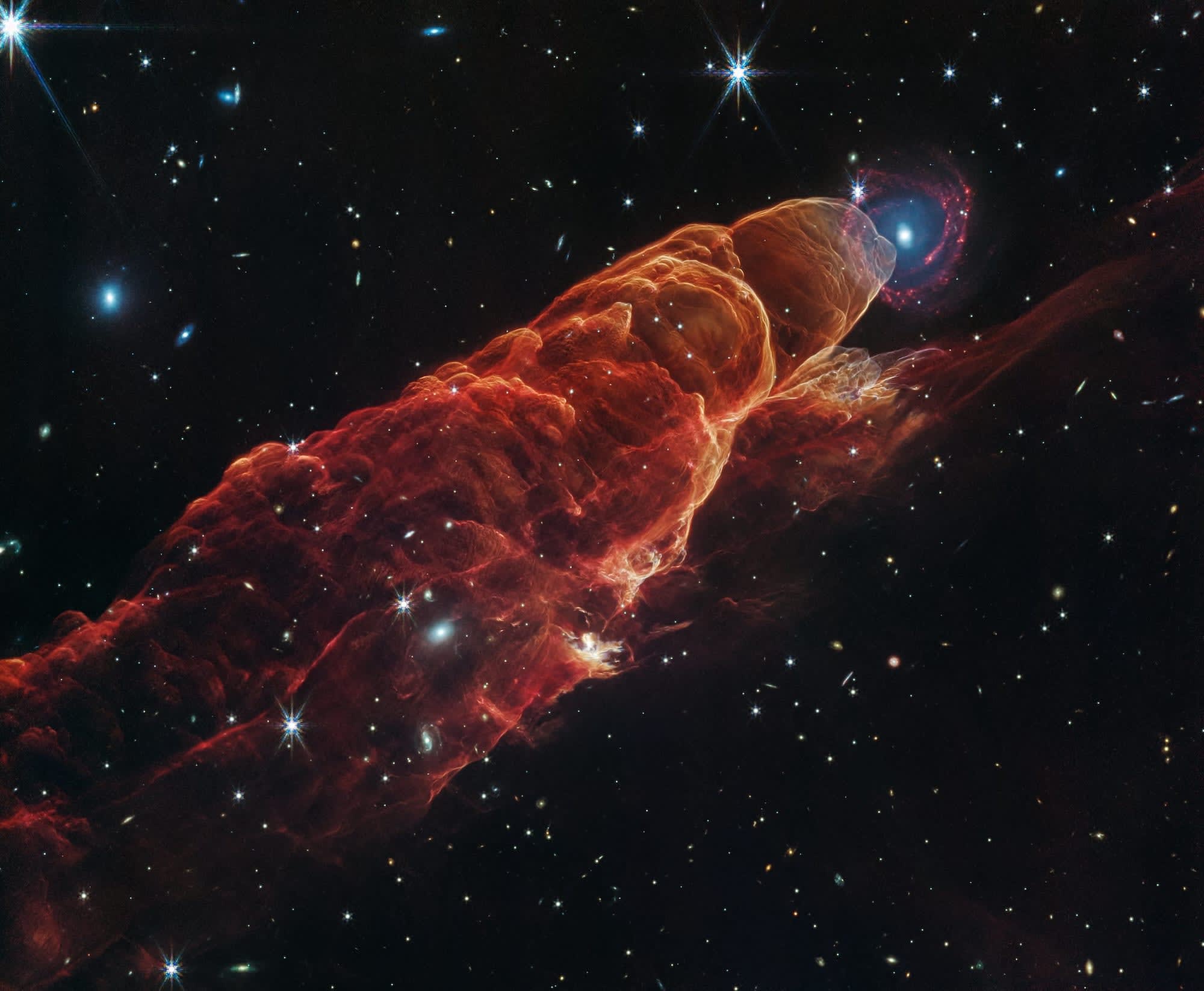 Planetarium Concert: Carlos Niño & Friends (Early Performance) Cover