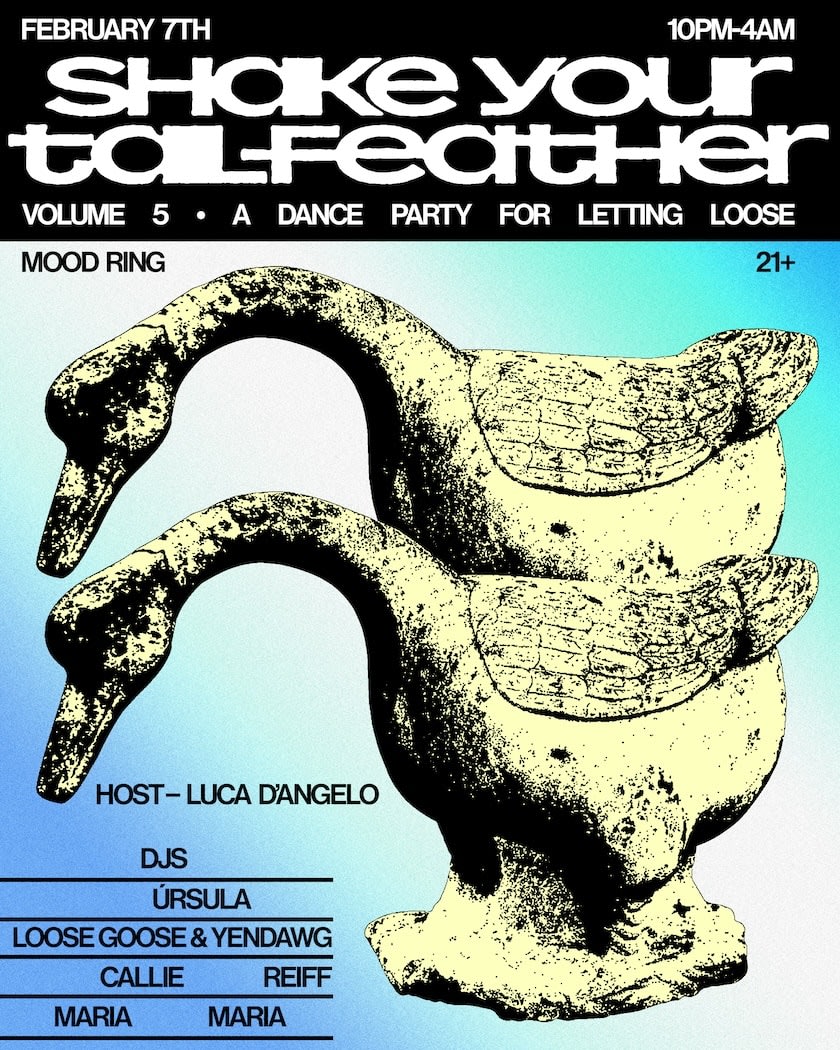 Shake Your Tailfeather Volume 5 Cover